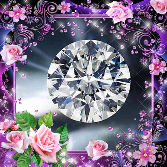 Meet your Posher, Coralia - Picture 1 of 1